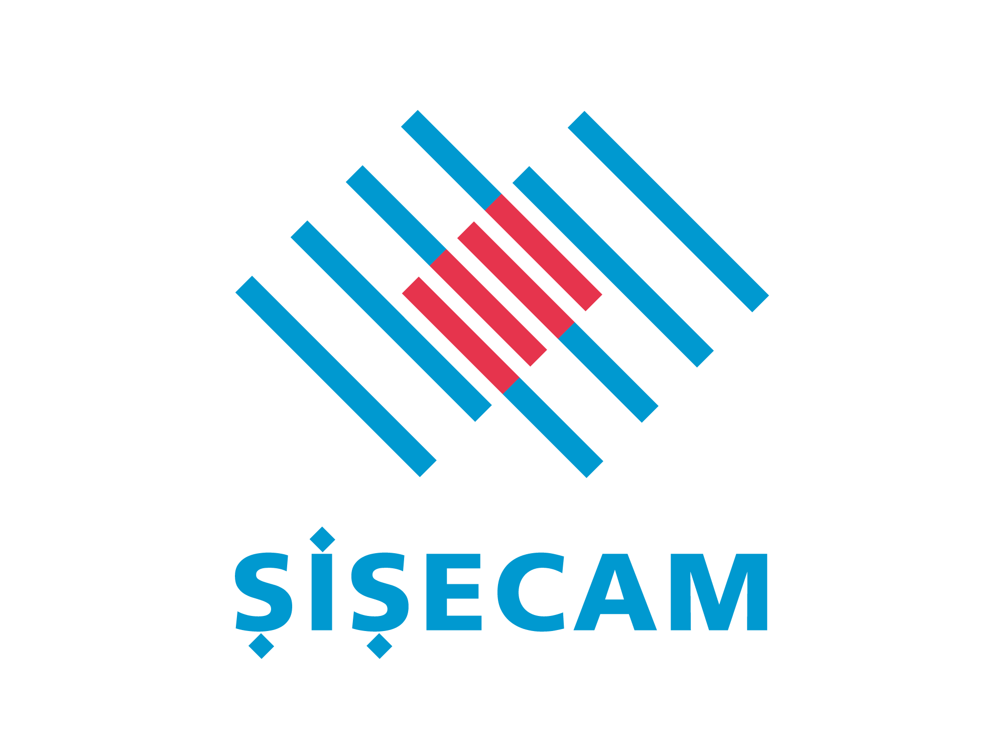 Корпоративный логотип Şişecam
